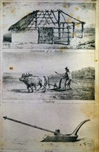 MIERS
TRAVELS IN CHILE-ARADO
MADRID, ACADEMIA DE HISTORIA
MADRID