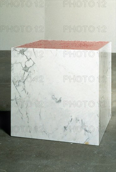 RAY CHARLES
PEPTO BISMOL IN A MARBLE-BOX-1988-39*38*38 PULGADAS

This image is not downloadable.