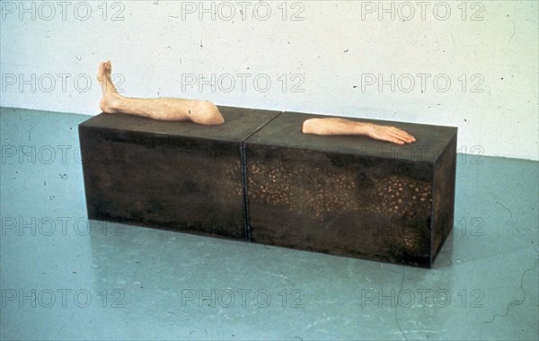 RAY CHARLES
ESCULTURA-1981-5

This image is not downloadable. Contact us for the high res.