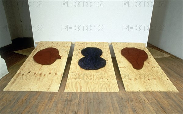 IRELAND DAVID
TRAPOS O TELAS DIBUJADAS-1988

This image is not downloadable. Contact us for the