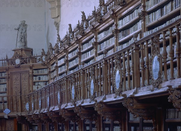 BIBLIOTECA ANTIGUA-ESTANTERIAS BARROCAS-DET BARANDILLA
SALAMANCA, UNIVERSIDAD