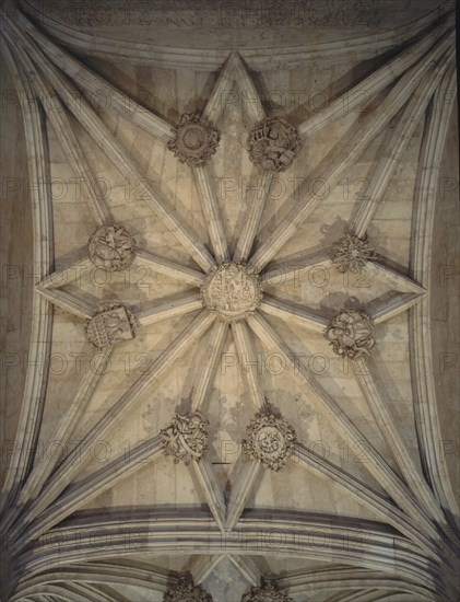 DET DE LA BOVEDA DEL ZAGUAN DE ENTRADA A LA UNIVERSIDAD-
SALAMANCA, UNIVERSIDAD
SALAMANCA

This