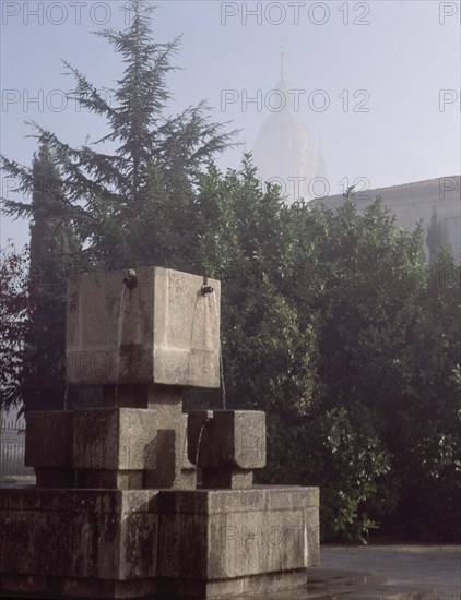 EXTERIOR-DET FUENTE DE LOS JARDINES DE LA MERCED-
SALAMANCA, FACULTAD DE CIENCIAS