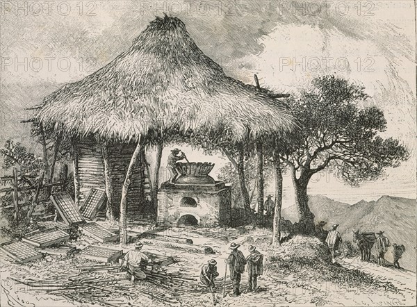 GRABADO-LA COCCION DEL AZUCAR EN PANCHE-(COLOMBIA)

This image is not downloadable. Contact us