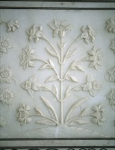 DET RELIEVE DE PARTE INFERIOR DEL MURO-MOTIVO VEGETAL LABRADO - S XVII
AGRA, TAJ MAHAL
INDIA