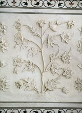 DET RELIEVE DE PARTE INFERIOR DEL MURO-MOTIVO VEGETAL LABRADO - S XVII
AGRA, TAJ MAHAL
INDIA