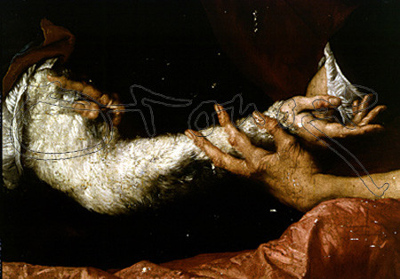 Ribera, Isaac et Jacob - Détail du bras de Jacob avec la peau de chevreau