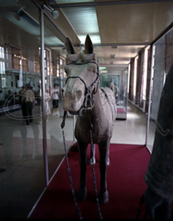 MUSEO-CABALLO DE BARRO COCIDO Y CORREAJE DE BRONCE-S III A J.C.
XIAN, MAUSOLEO QIN SHI
