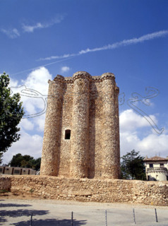 EXTERIOR-CASTILLO MEDIEVAL
VILLAREJO DE SALVANES, CASTILLO
MADRID