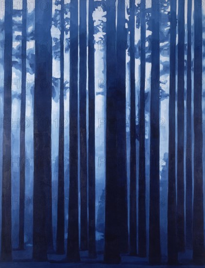 CAMPO SALOME DEL
BOSQUE 1993-OLEO/LIENZO 260X200
MADRID, GALERIA JUANA DE AIZPURU
MADRID

This