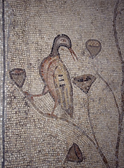 INTERIOR-DET MOSAICO BIZANTINO-PATOS
TABGHA, IGLESIA DE LOS PANES Y LOS PECES
ISRAEL

This