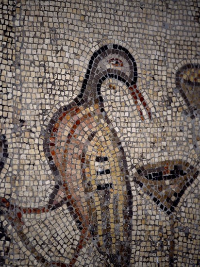 INTERIOR-DET MOSAICO BIZANTINO-PATO
TABGHA, IGLESIA DE LOS PANES Y LOS PECES
ISRAEL

This image