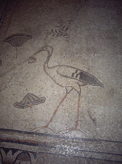 INTERIOR-DET MOSAICO BIZANTINO-CIGÜEÑA
TABGHA, IGLESIA DE LOS PANES Y LOS PECES
ISRAEL

This