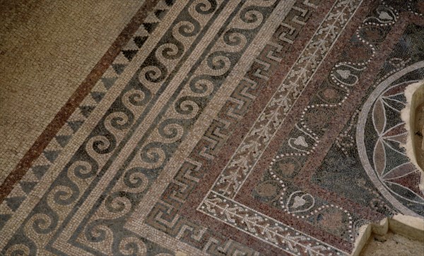 INTERIOR-DET MOSAICO DE MOTIVOS VEGETALES DEL SUELO PERTENECIENTE AL PERIODO DE HERODES
MASADA,