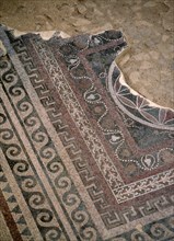 INTERIOR-DET MOSAICO DE MOTIVOS VEGETALES DEL SUELO PERTENECIENTE AL PERIODO DE HERODES
MASADA,