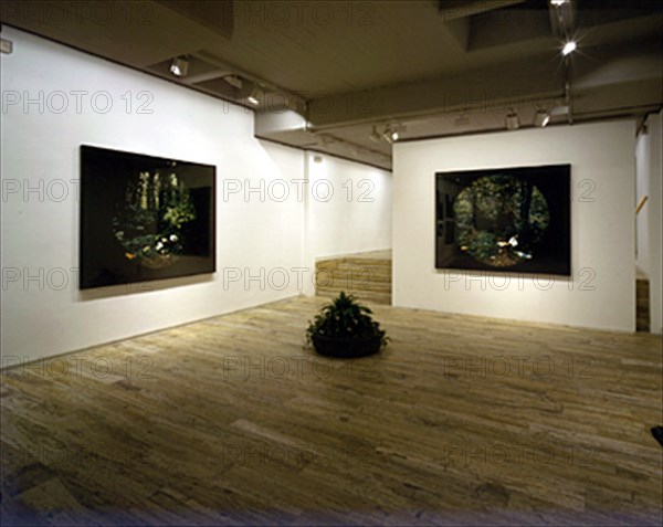 COLLISHAW MAT
SALA-IZQ:"THE AWAKENING OF CONSCIENCE,EMILY 1997"FRENTE:"CLARA 1997"
MADRID,