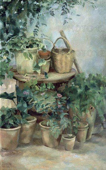 DUCLOS TERESA
MACETAS 1975-OLEO/LIENZO 130X81 CM
SEVILLA, BANCO HISPANO
SEVILLA

This image is