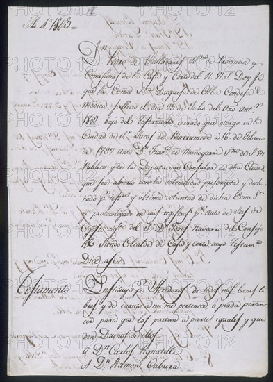 TESTAMENTO DE LA DUQUESA DE ALBA-MARIA DEL PILAR TERESA CAYETANA DE SILVA Y ALVAREZ DE
