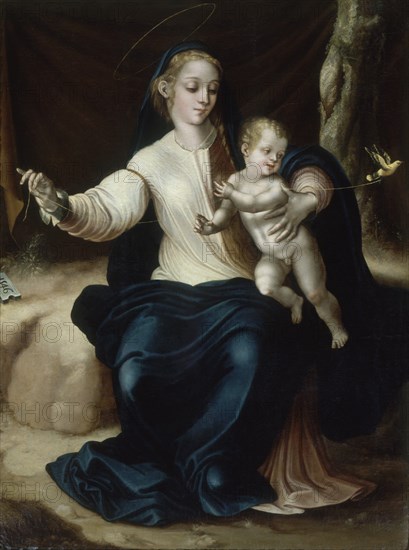 MORALES LUIS DE 1515/1586
LA VIRGEN Y EL NIÑO CON UN PAJARITO - 1546
MADRID, IGLESIA DE SAN