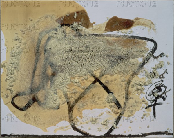 TAPIES ANTONI 1923-
FORMES - 1995 - 65  X 81 cm - Barniz-Pintura/Madera
MADRID, GALERIA SOLEDAD