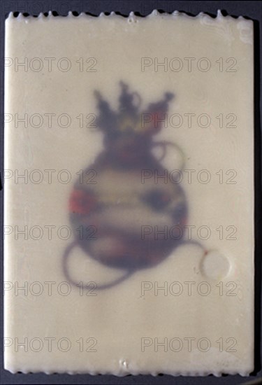 SICILIA JOSE MARIA 1954/
SERIE CALABAZAS II - 1991 - ACUARELA/CERA- 43  X 28 CM
MADRID, COLECCION