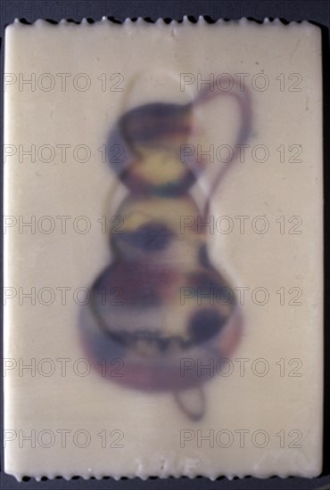 SICILIA JOSE MARIA 1954/
SERIE CALABAZAS  VII - 1991 - ACUARELA/CERA- 43  X 28 CM
MADRID,