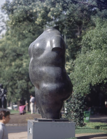 BOTERO FERNANDO 1932
TORSO DE MUJER - VISTA LATERAL
MADRID, EXPOSICION BOTERO
MADRID

This