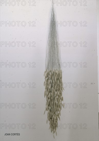 CORTES JUANJO
OBJETO COLGANTE - GALERIA MAIOR
MADRID, IFEMA-ARCO
MADRID

This image is not