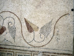 MOTIVOS VEGETALES DE UN MOSAICO PALEOCRISTIANO DE LA BASILICA DE NEBO
NACION, MONTE