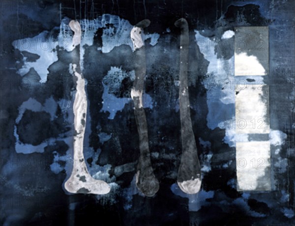 BROTO JOSE MANUEL 1949/
LOS LIBROS I - 1990 - 200x260 - ACRILICO/LIENZO
MADRID, GALERIA SOLEDAD