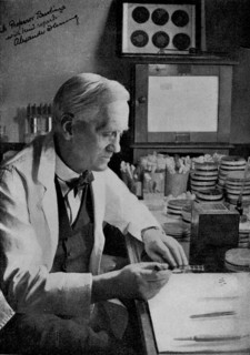 Portrait d'Alexander Fleming