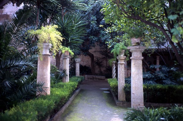 JARDIN
PALMA, BAÑOS ARABES
MALLORCA

This image is not downloadable. Contact us for the high