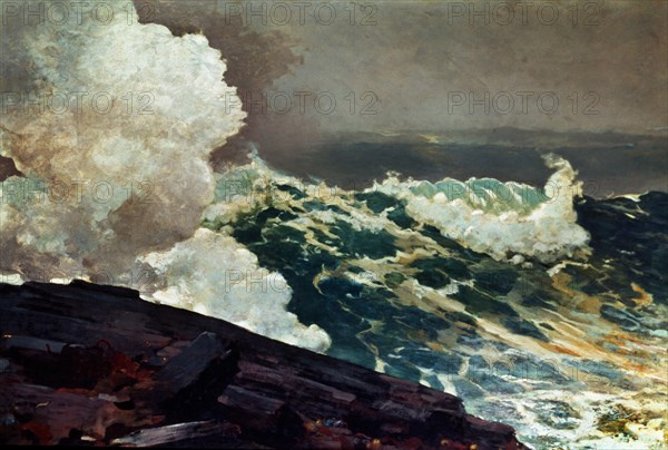 HOMER WINSLOW 1836/1910
NORDESTE - 1895 - O/L
NUEVA YORK, MUSEO METROPOLITANO
EEUU

This image