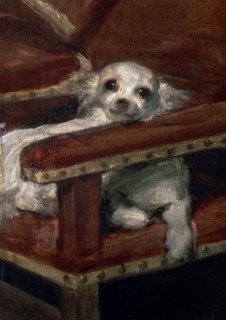 Velasquez, L'Infant Philippe Prosper (détail du chien)