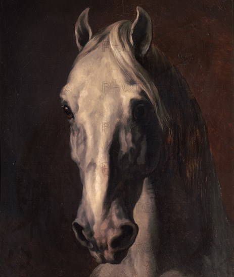 GERICAULT THEODORE 1791/1824
CABEZA DE CABALLO BLANCO - O/T - S XIX - ROMANTICISMO FRANCES
PARIS,