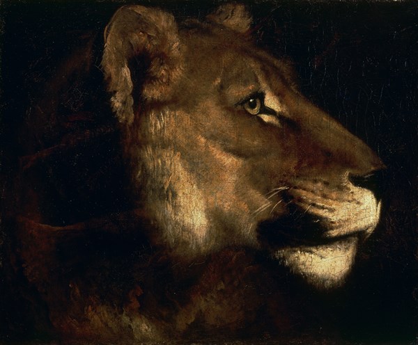GERICAULT THEODORE 1791/1824
CABEZA DE LEON - S XIX - O/L - 55x65 - ROMANTICISMO FRANCES
PARIS,
