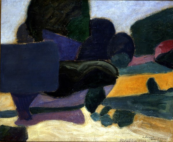 PICABIA FRANCIS 1879-1953
PAISAJE - 1910 - 58x65
NIZA, VILLA ARSON
FRANCIA

This image is not