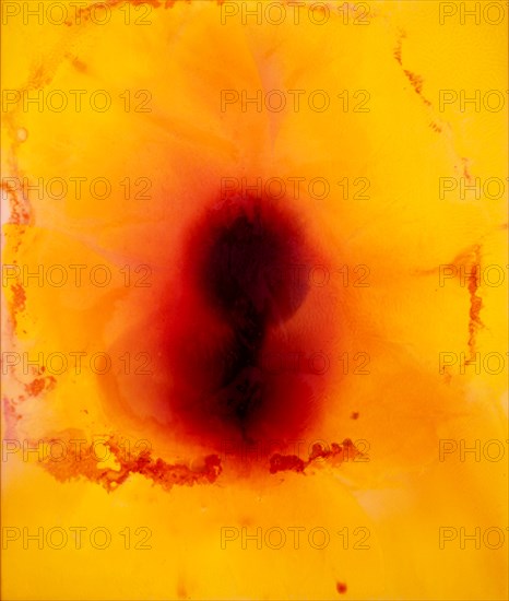 SICILIA JOSE MARIA 1954/
LA LUZ QUE SE APAGA - 2002 - OLEO/CERA/MADERA - 185x157
MADRID, GALERIA
