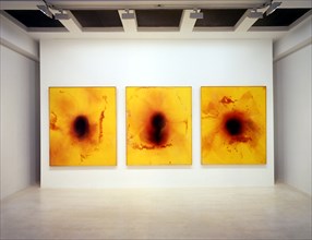 SICILIA JOSE MARIA 1954/
INTERIOR DE LA SALA DE EXPOSICIONES "LA LUZ QUE SE APAGA" - 2002
MADRID,