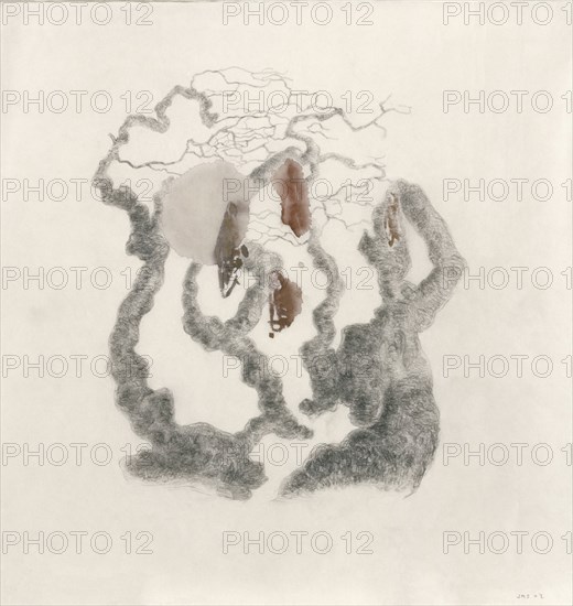 SICILIA JOSE MARIA 1954/
UN DESPERTAR SIN IMAGEN - DIBUJO - GRAFITO Y ACUARELA SOBRE PAPEL JAPONES