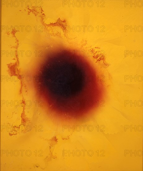 SICILIA JOSE MARIA 1954/
LA LUZ QUE SE APAGA - 2002 - OLEO/CERA/MADERA - 185x157
MADRID, GALERIA