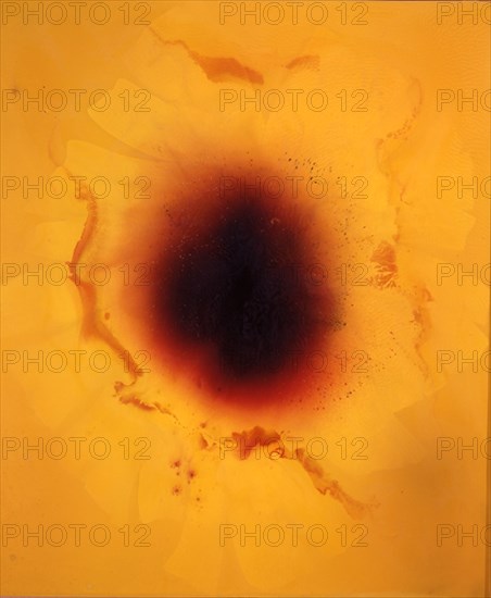 SICILIA JOSE MARIA 1954/
LA LUZ QUE SE APAGA - 2002 - OLEO/CERA/MADERA - 185x157
MADRID, GALERIA