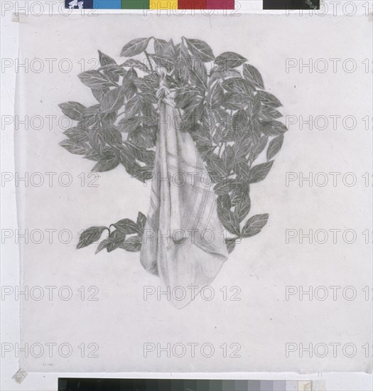SICILIA JOSE MARIA 1954/
UN DESPERTAR SIN IMAGEN - DIBUJO - GRAFITO SOBRE PAPEL JAPONES - 2003 -