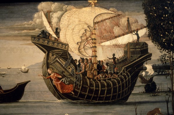 FUNGAI BERNARDINO 1460/1516
DET-EL RESCATE DE HIPPO-S XV/XVI
HOUSTON-TEXAS, MUSEO BELLAS