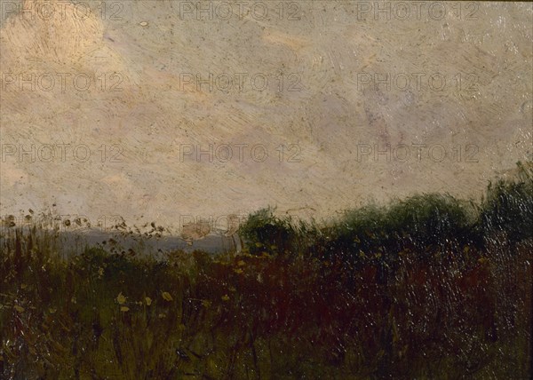 PAISAJE - S XX
MADRID, COLECCION MANUEL MUÑOZ
MADRID

This image is not downloadable. Contact