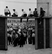 ESPERANDO EL ENCIERRO EN LA PLAZA MAYOR DE COLMENAR DE OREJA - AÑOS 50 - ByN 40827
COLMENAR DE