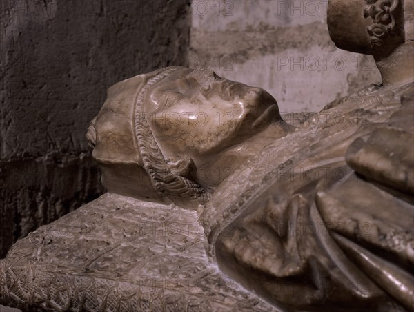 SEPULCRO DEL DOCTOR GRADO - S XV - GOTICO FLAMIGERO - DETALLE DEL ROSTRO
ZAMORA,