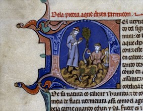 ALFONSO X EL SABIO 1221/84
LAPIDARIO HI 15. DETALLE DE FOLIO 27 V. 1253.MANUSCRITO ALFONSI S XIII
