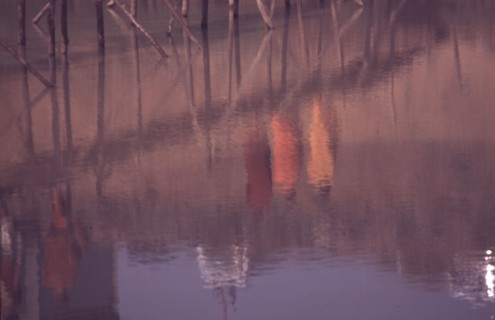 Reflets de trois moines dans l'eau, au Cambodge