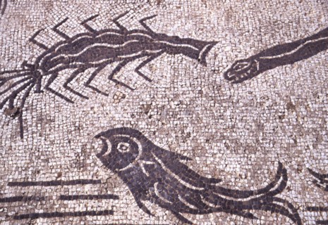 Roman mosaic, Sea creatures